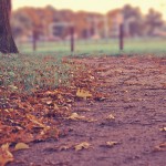 Autism FAQ: What to do when people aren’t nice